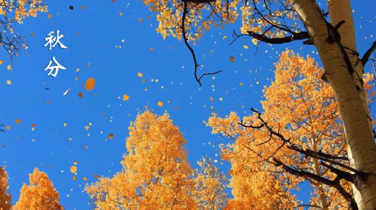 二十四节气秋分,二十四节气秋分养生先养肺