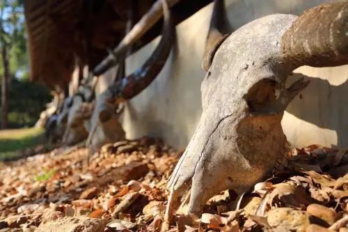 泰国特价签证,申请泰国旅行签证90天需要多少钱