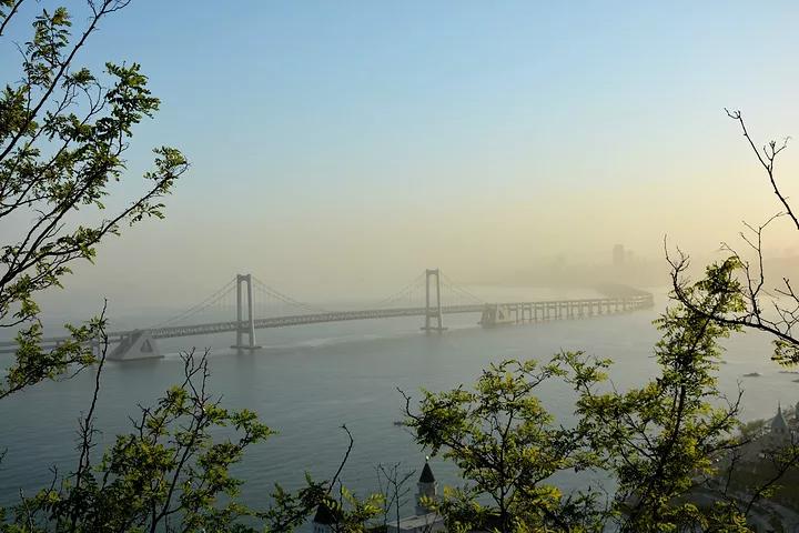 大连旅游攻略精致景点推荐,大连必去的打卡景点