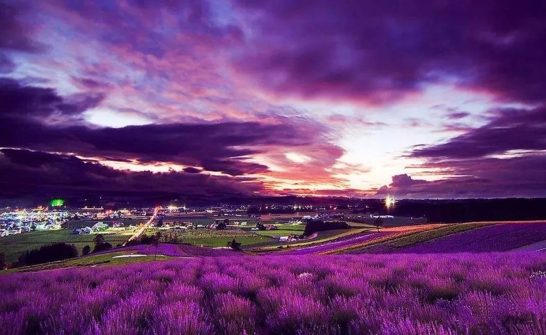 欧舒丹蜡菊面霜蓝瓶,欧舒丹蜡菊晚霜使用方法