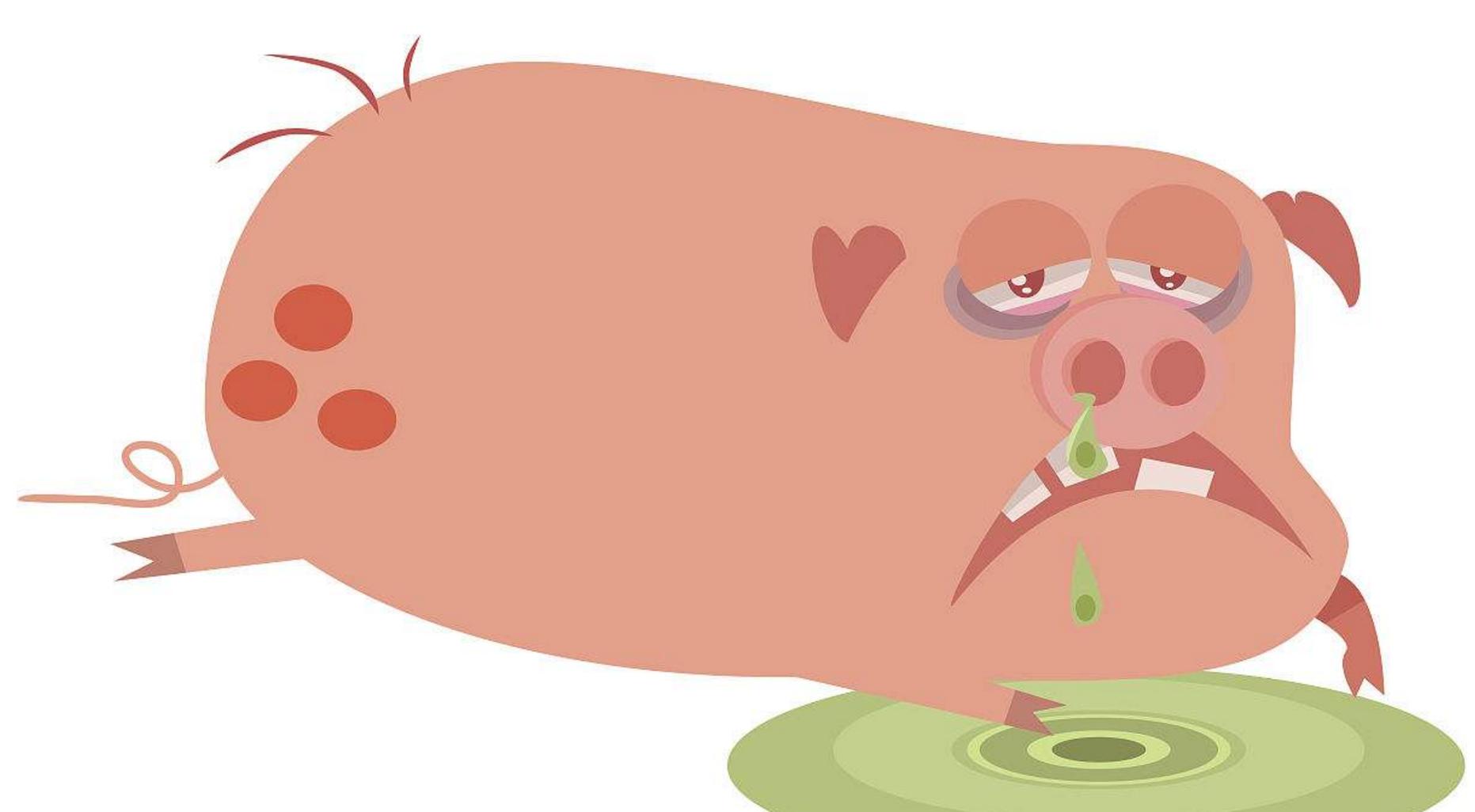 猪流感怎么治才能彻底治好,猪流感的防治措施有哪些