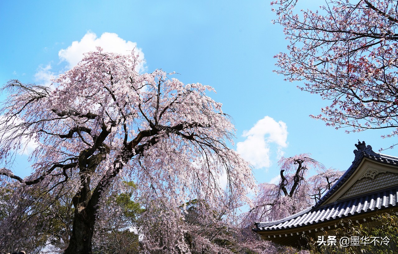 京都一眼千年的美景,京都永恒的美