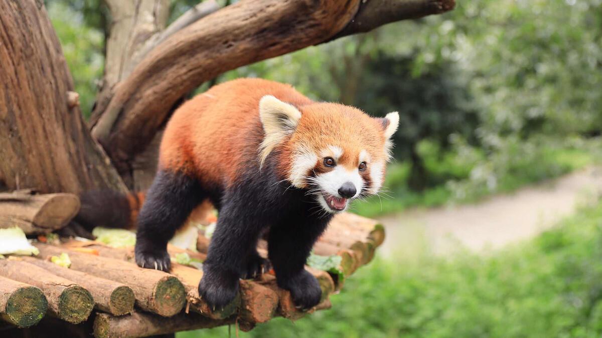 昆明市a级旅游景区有哪些,昆明旅游4a级景区有哪些