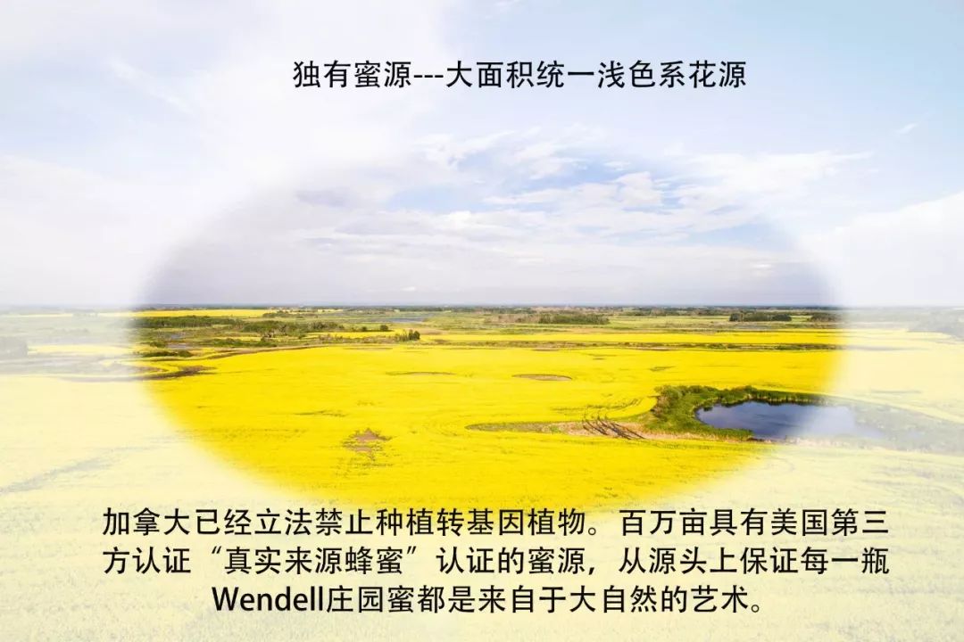 温德尔庄园成熟纯蜂蜜,温德尔庄园白蜜