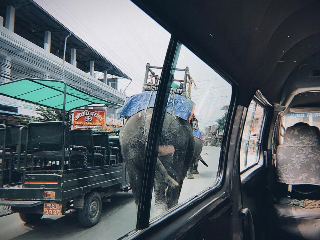 *局骗**和微笑,3000元带你体验双面尼泊尔