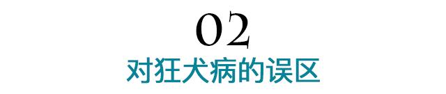 被狗咬狂犬病去世,被狗咬好几年没事还会得狂犬病吗