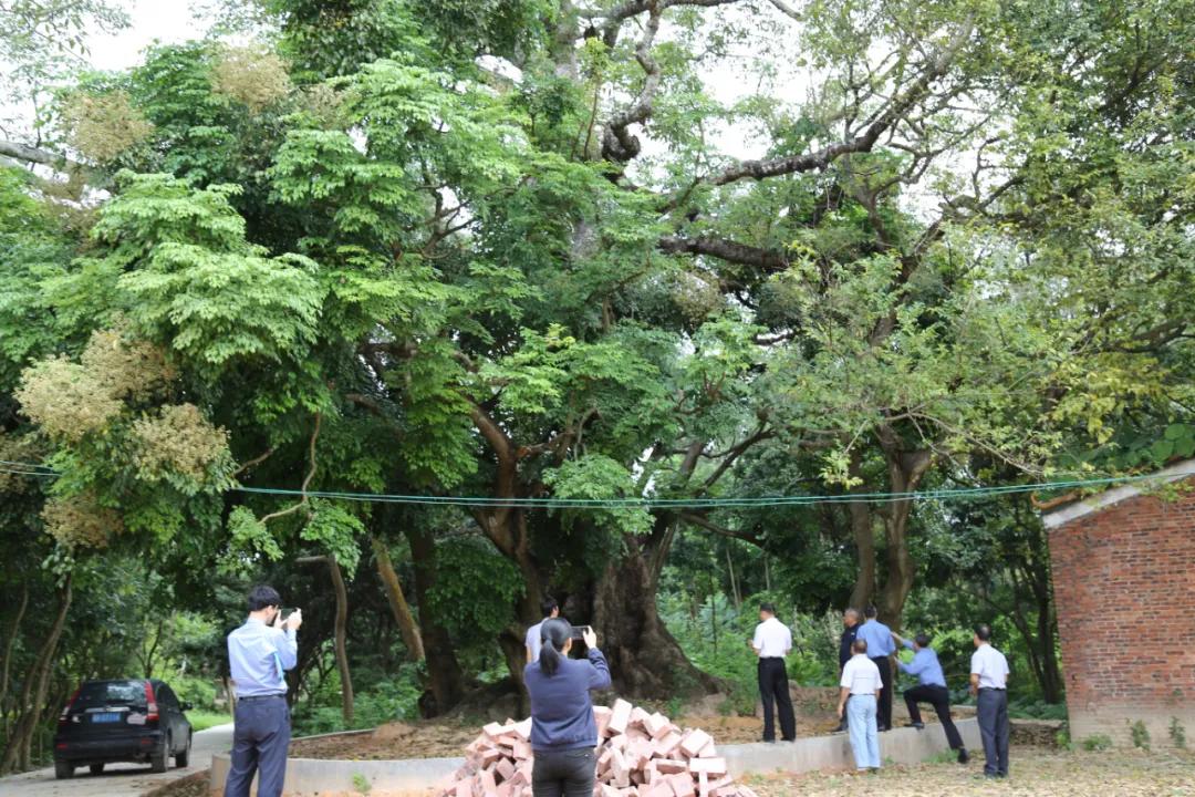 检察蓝用心守护海洋蓝,检察蓝守护最美夕阳红