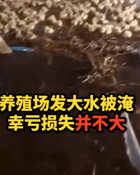 说好的三角形具有稳定性呢？咋三角恋就翻车了呢