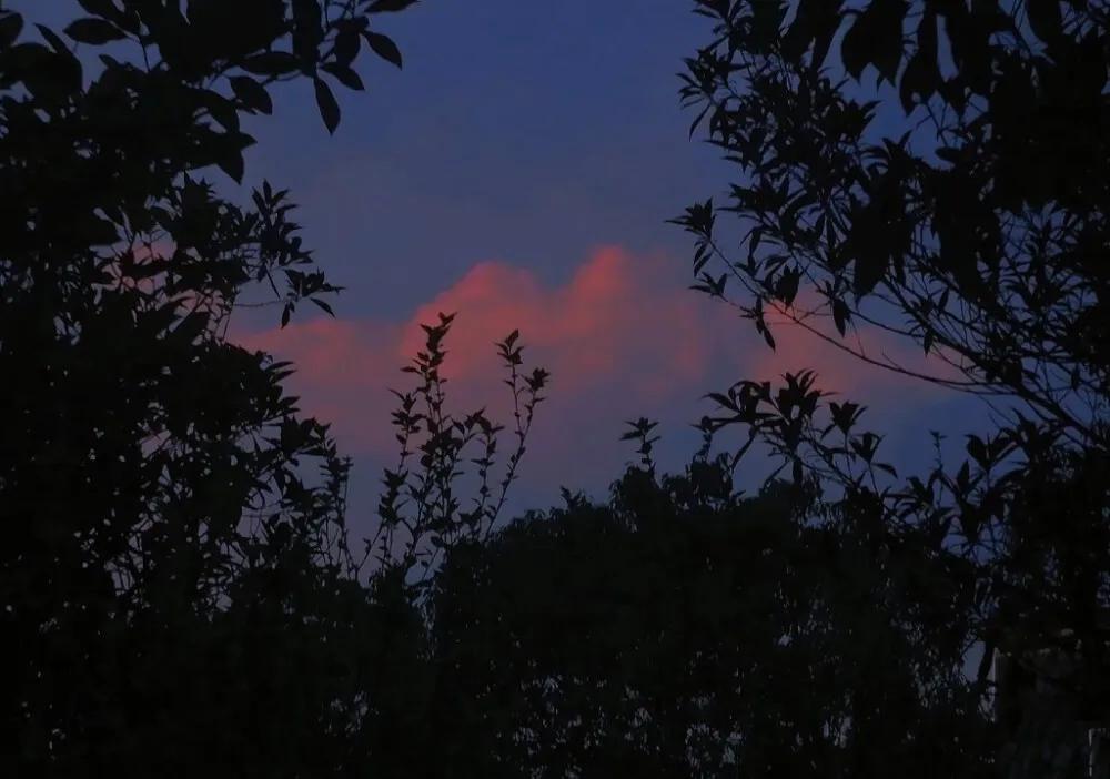 谈恋爱应不应该送女朋友礼物,谈恋爱该不该收男生的礼物