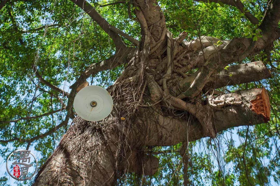 普宁二中操场改造,普宁流沙中华新城旧貌