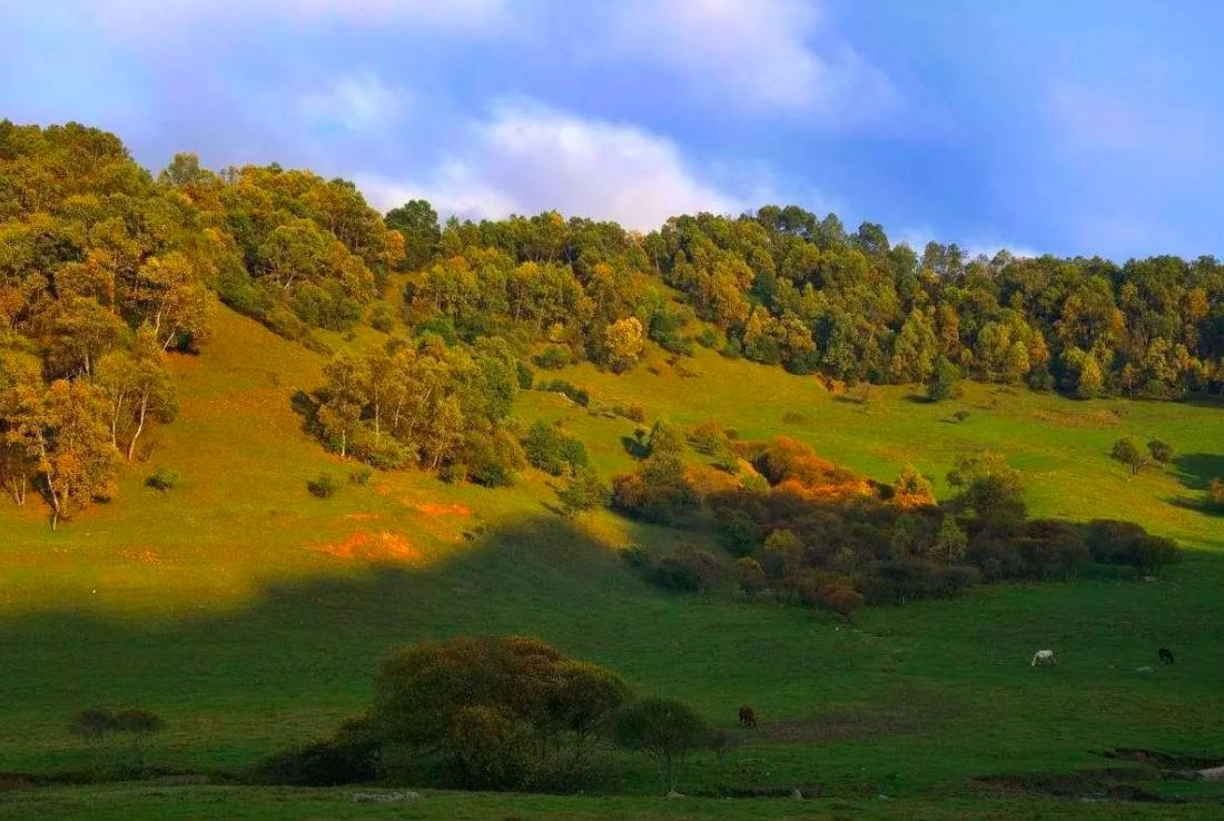 李贺最著名的十首诗名句,李贺耗时最长的一首诗