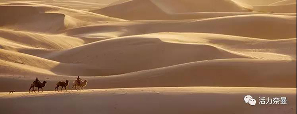 45万奈曼人的名片,太漂亮了!除了中华麦饭石你还知多少?