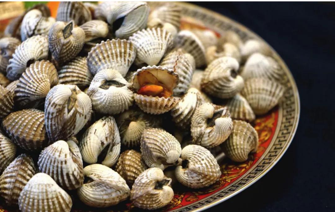 蚬子蛏子蛤蜊什么区别,长条的蛤蜊蛏子叫什么