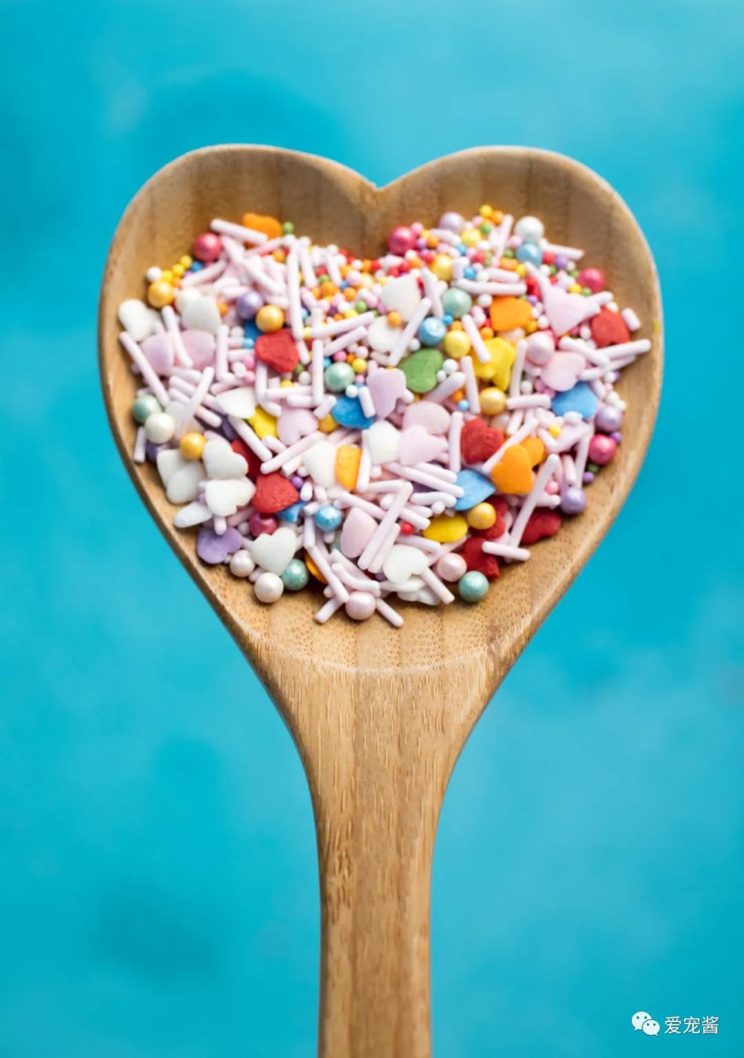 猫咪喂药片的正确方法,如何给猫咪喂药