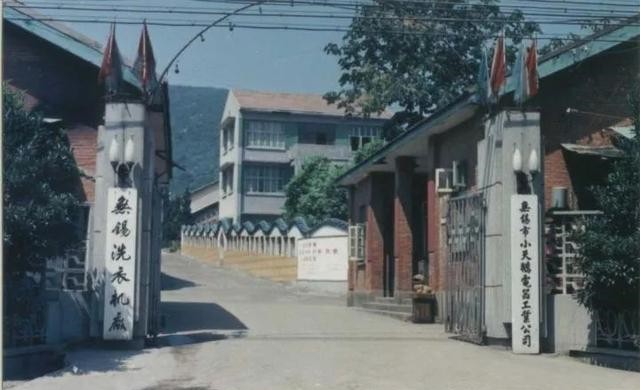 小天鹅洗衣机销量第一的是哪一款,小天鹅销量第一型号