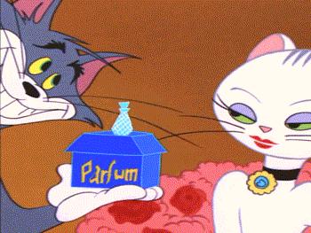 猫和老鼠以前的汤姆和以后的汤姆,猫和老鼠有多少人喜欢汤姆