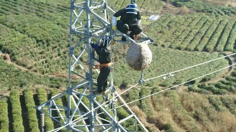 淇￠槼渚涚數鍏徃澶滄櫄鎶慨瑙嗛,淇￠槼鐢电綉鍏徃