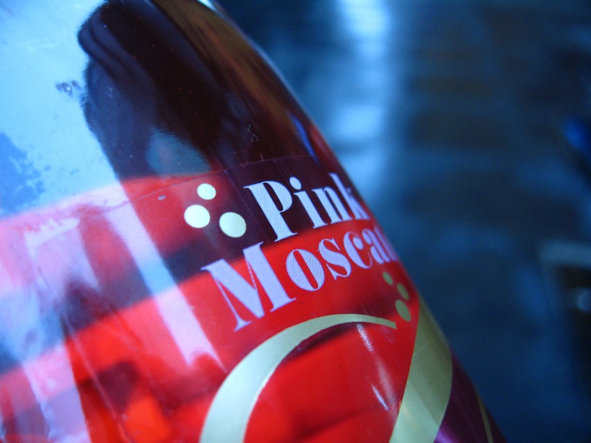 摄影小白买相机推荐,摄影小白看过来