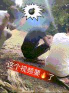 宗亲联谊会欢迎标语,开学欢迎学生的标语