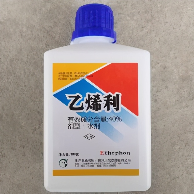 西红柿用的催熟剂对人有害吗,西红柿催熟剂用早了有什么危害