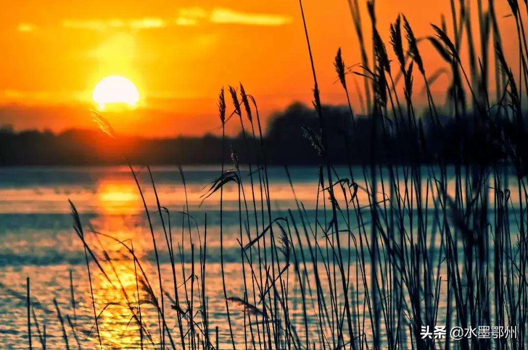 诗经豳风七月深度解析,诗经的豳风七月是一首什么诗