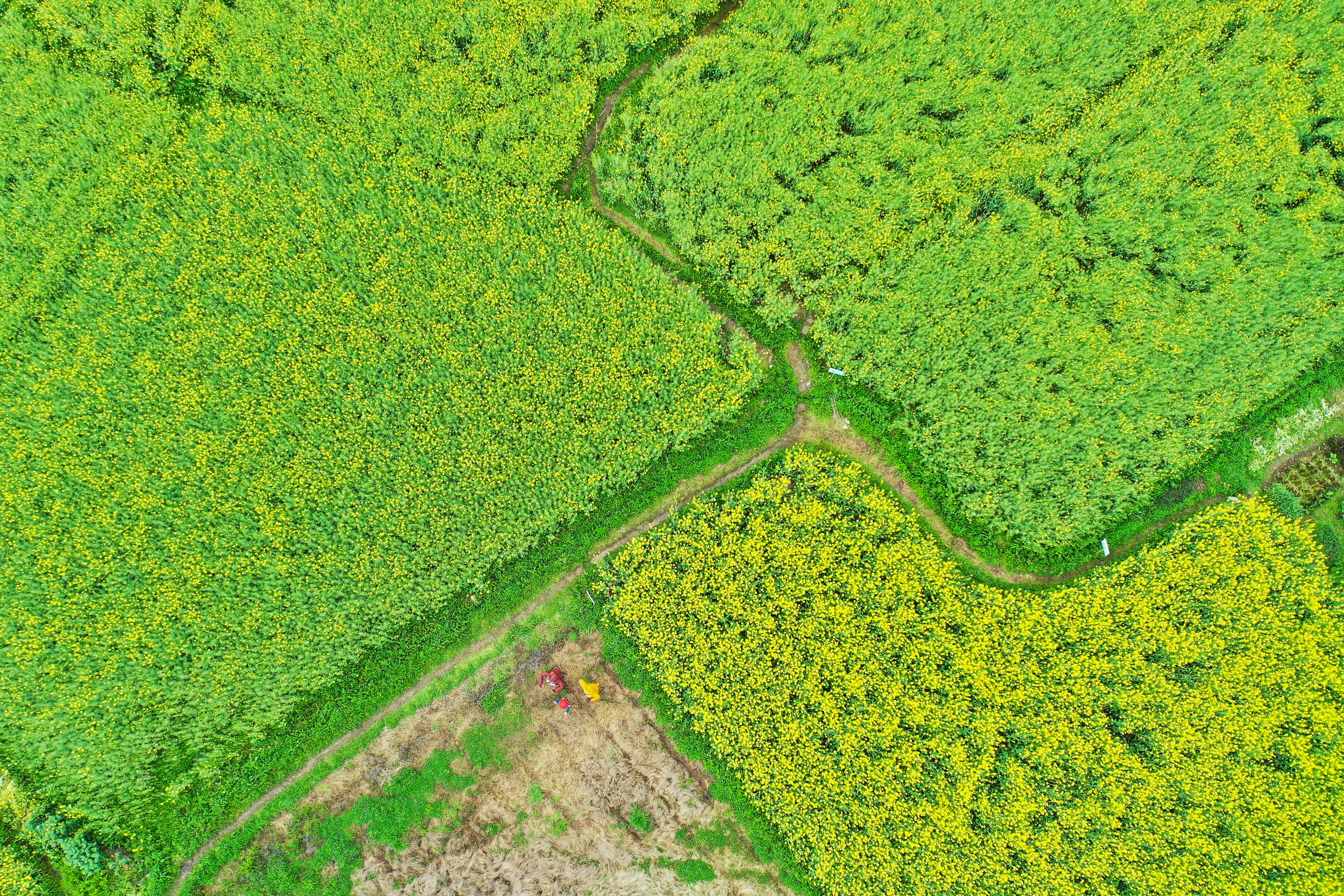 绿水青山的垦殖场