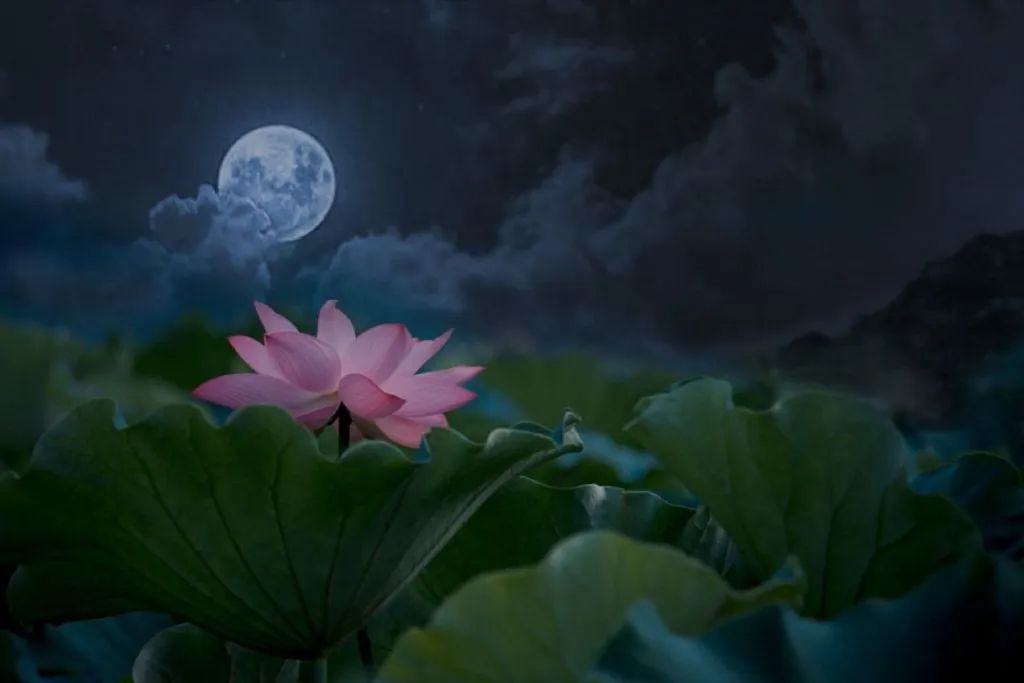 繁华过后一盏清茗也能品出百味,繁华之后静立于世