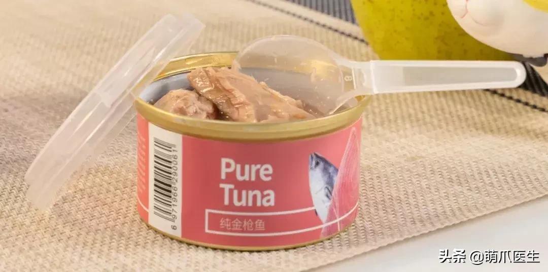 怎样让猫咪喝水才正确,猫咪进厕所喝水