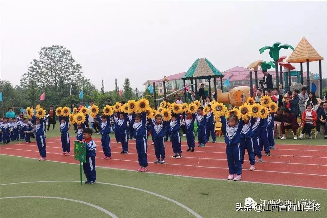 向日葵花开满园，颗颗童心向太阳·江西省西山学校幼儿园