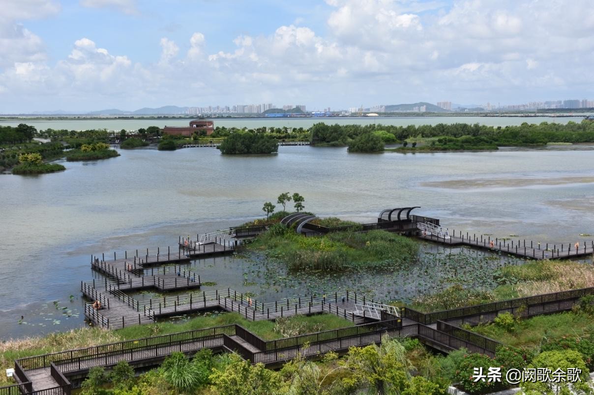 珠海公园森林风景,珠海公园美景视频