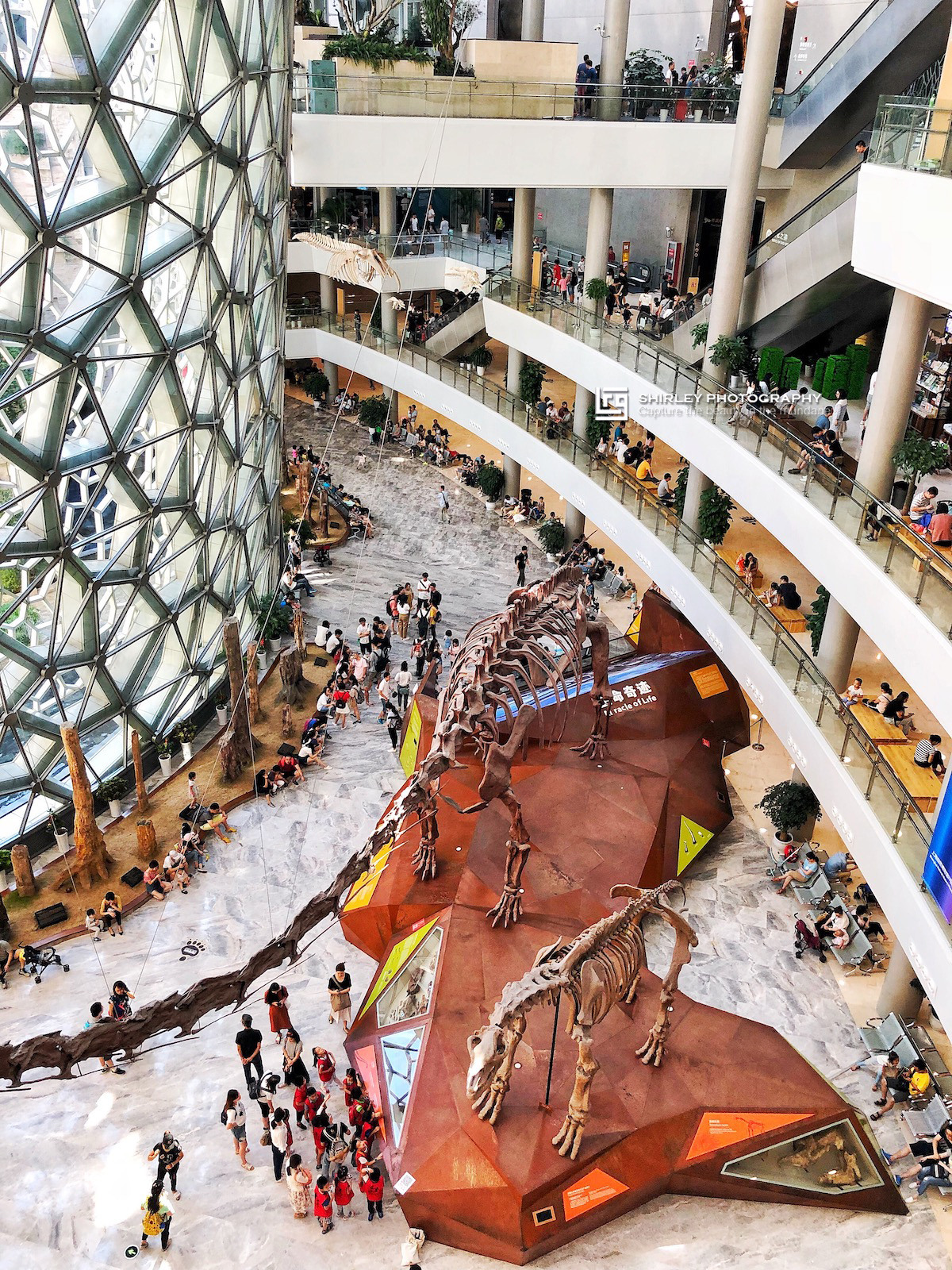 上海亲子旅游攻略迪士尼,上海迪士尼旅游推荐带孩子