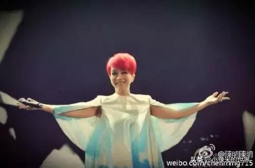 河南洛阳发布最新通知,洛阳牡丹花会向全世界发出邀请