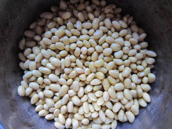 卖的豆浆怎么做的那么香,为什么卖的豆浆浓稠