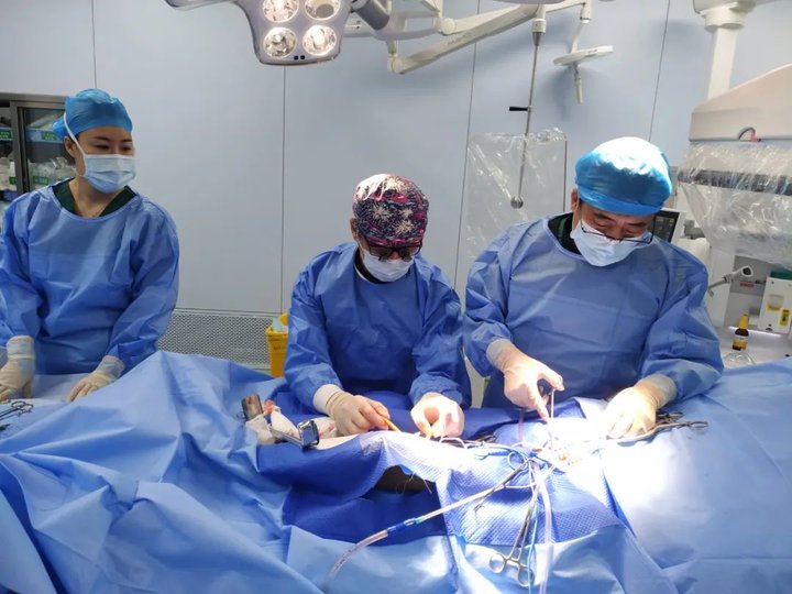 德州人民医院血管外科都看哪些病,德州市人民医院脑血管外科