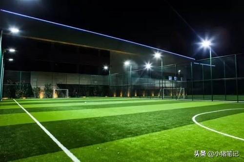 5人制足球场人造草坪,7人制人造草坪足球场报价