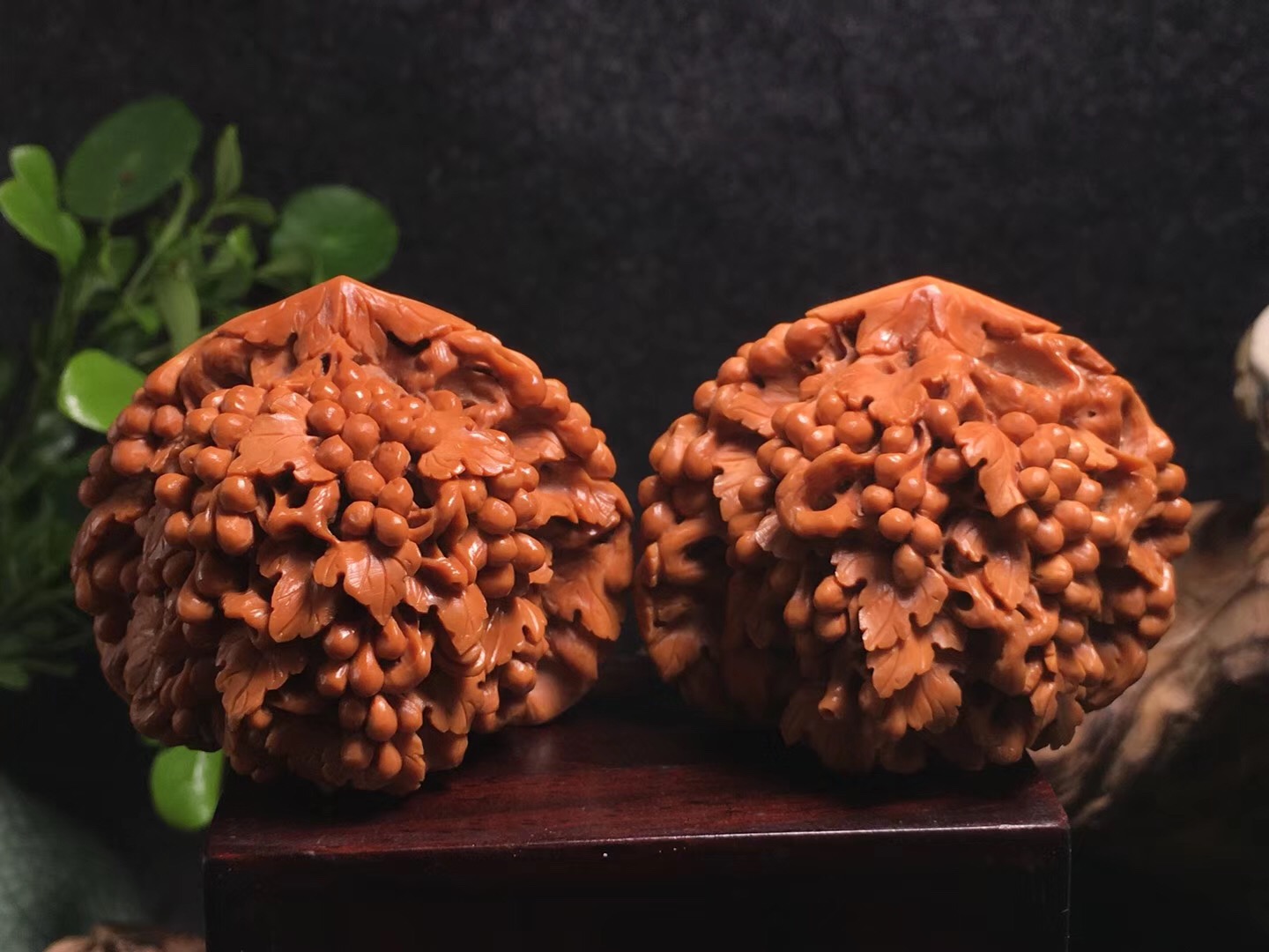 落地桃核发黑如何清洗,山桃核的正确清洗方法