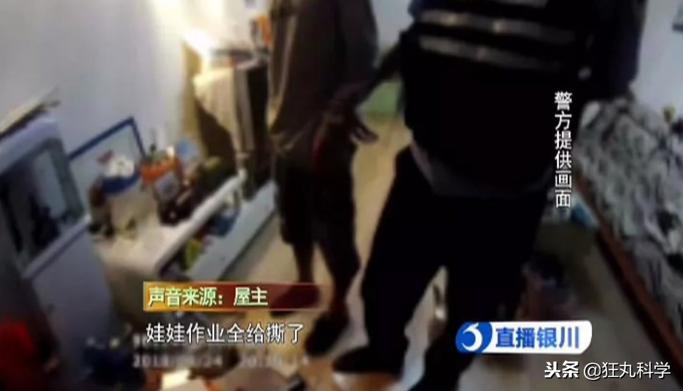 年度沙雕新闻合集,沙雕新闻播报合集