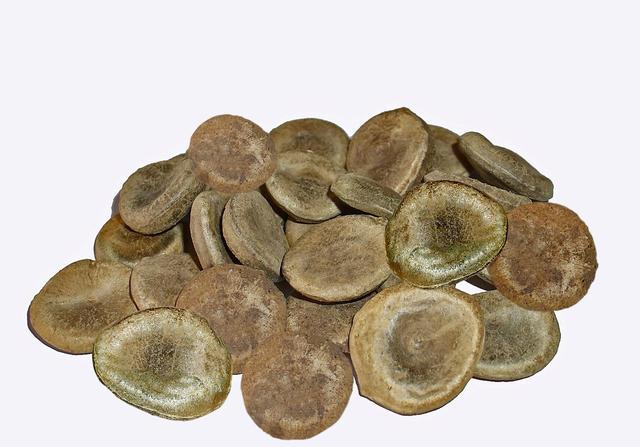 络脉瘀阻怎么治疗,疏通络脉的中成药