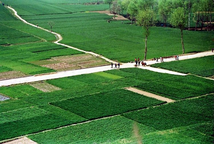 大荔故事,大荔老故事