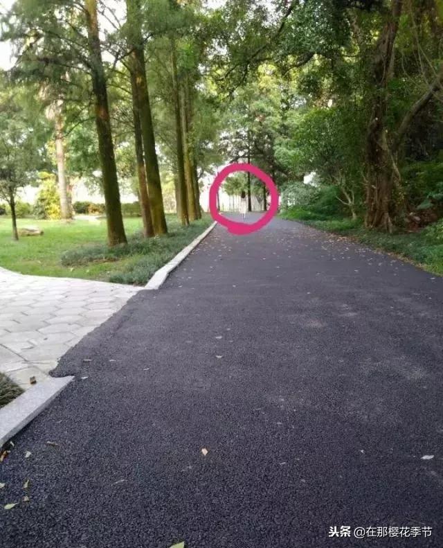 直男拍照最为致命,直男拍照到底好不好看