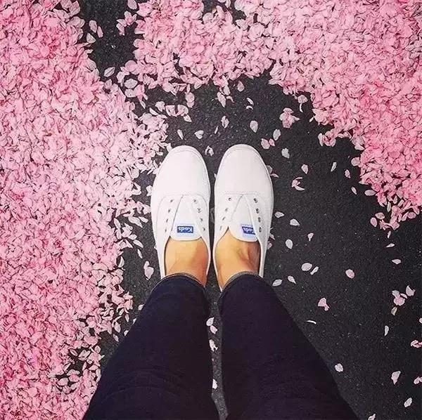 推荐几款好看的小众帆布鞋,这些冷门的平价帆布鞋好看又耐穿