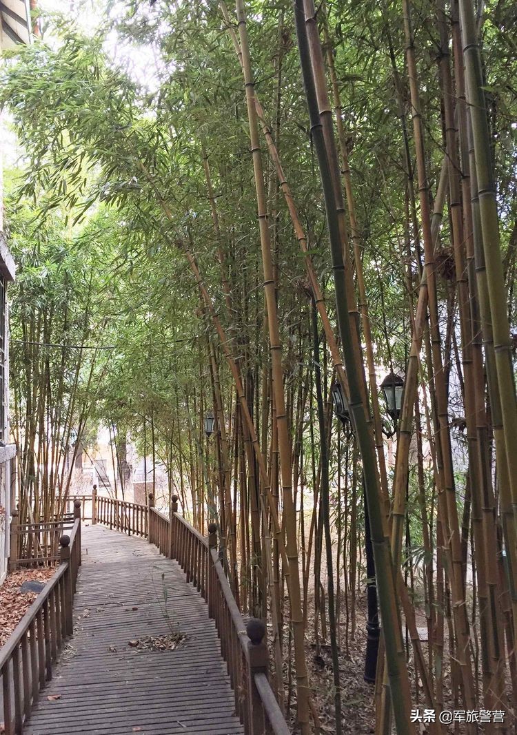 大连八七疗养院战友,大连市八七疗养院的故事