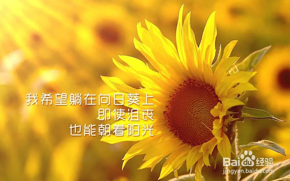 规划好自己的人生句子文案,离婚后应该怎么规划自己的人生