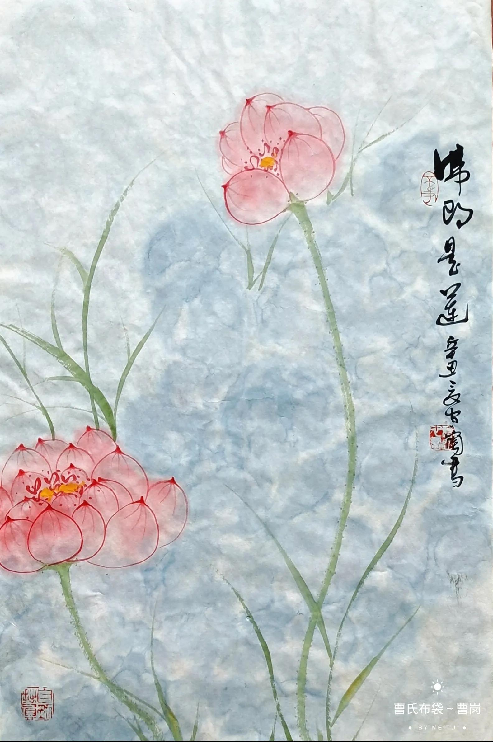 净土莲花~佛荷缘