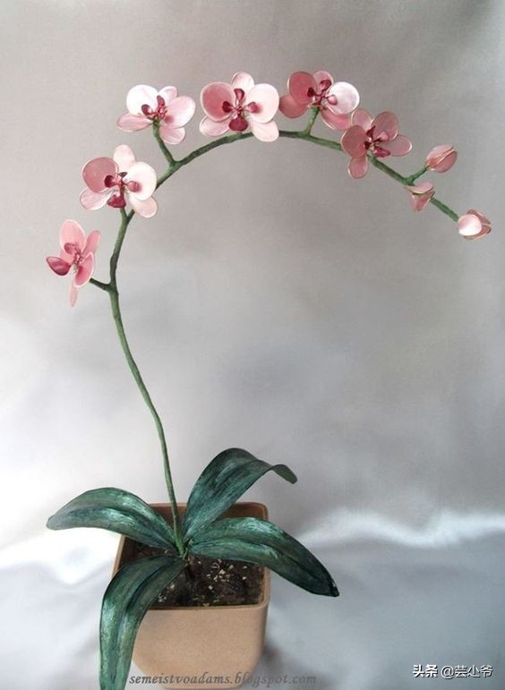 不要的指甲油可以干什么,可以保留很久的指甲油