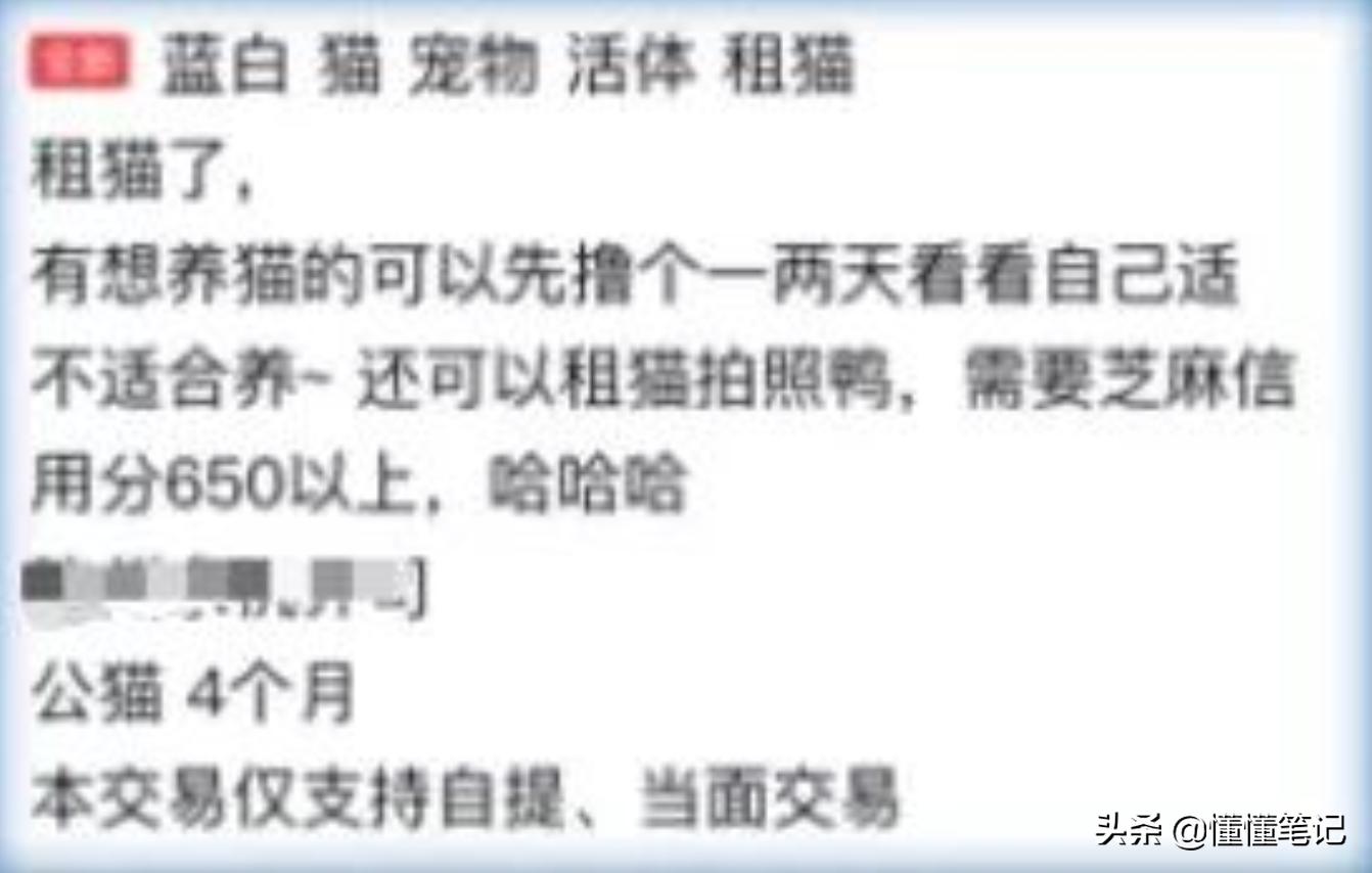 铲屎官一年养猫需要多少钱,猫咪铲屎官兼职工资多少钱