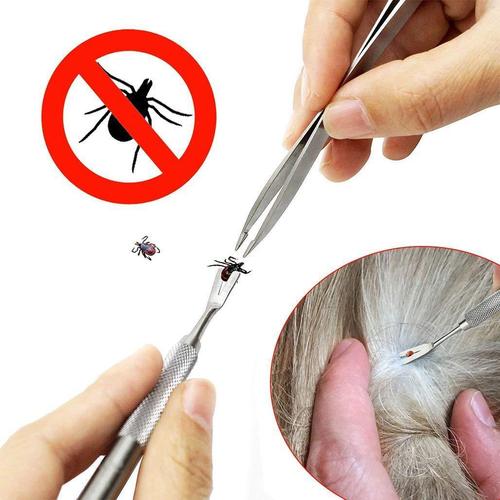 怎么预防狗狗被蜱虫叮咬,怎样预防蜱虫狗狗