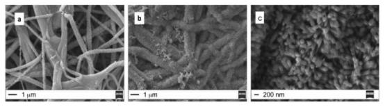 molecules,molecules的补充图