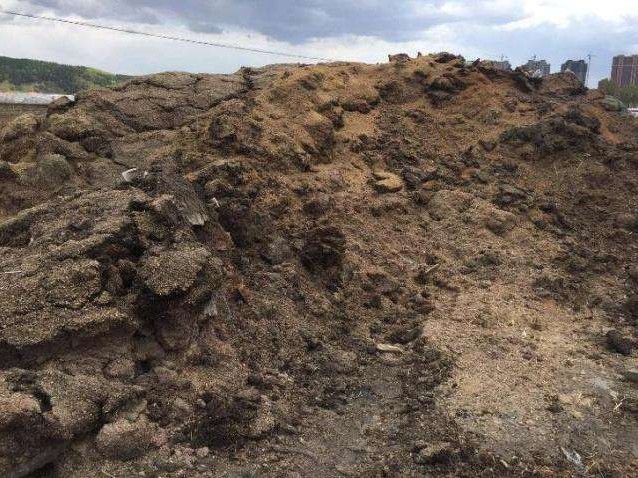 鸡粪牛粪羊粪还有马粪哪个养花好,马粪牛粪鸡粪羊粪各属于哪种肥料