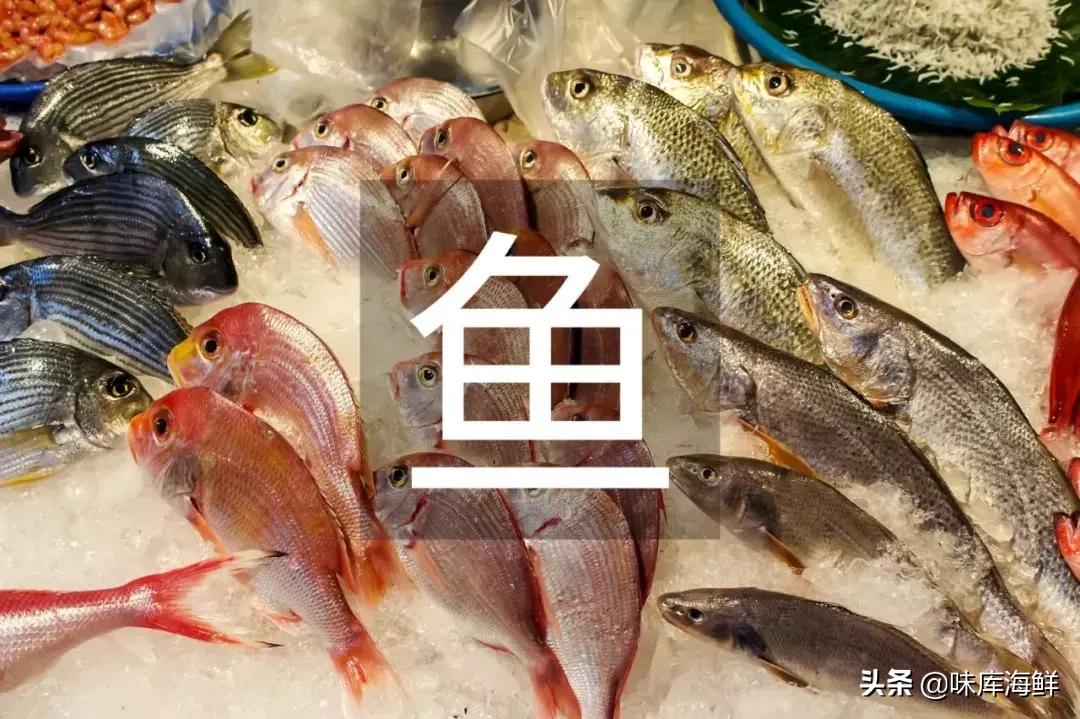 海鲜冰箱保鲜技巧,生的海鲜能放冰箱保鲜过夜吗